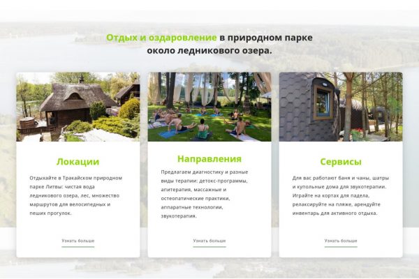 Разработка имиджевого сайта. Литва